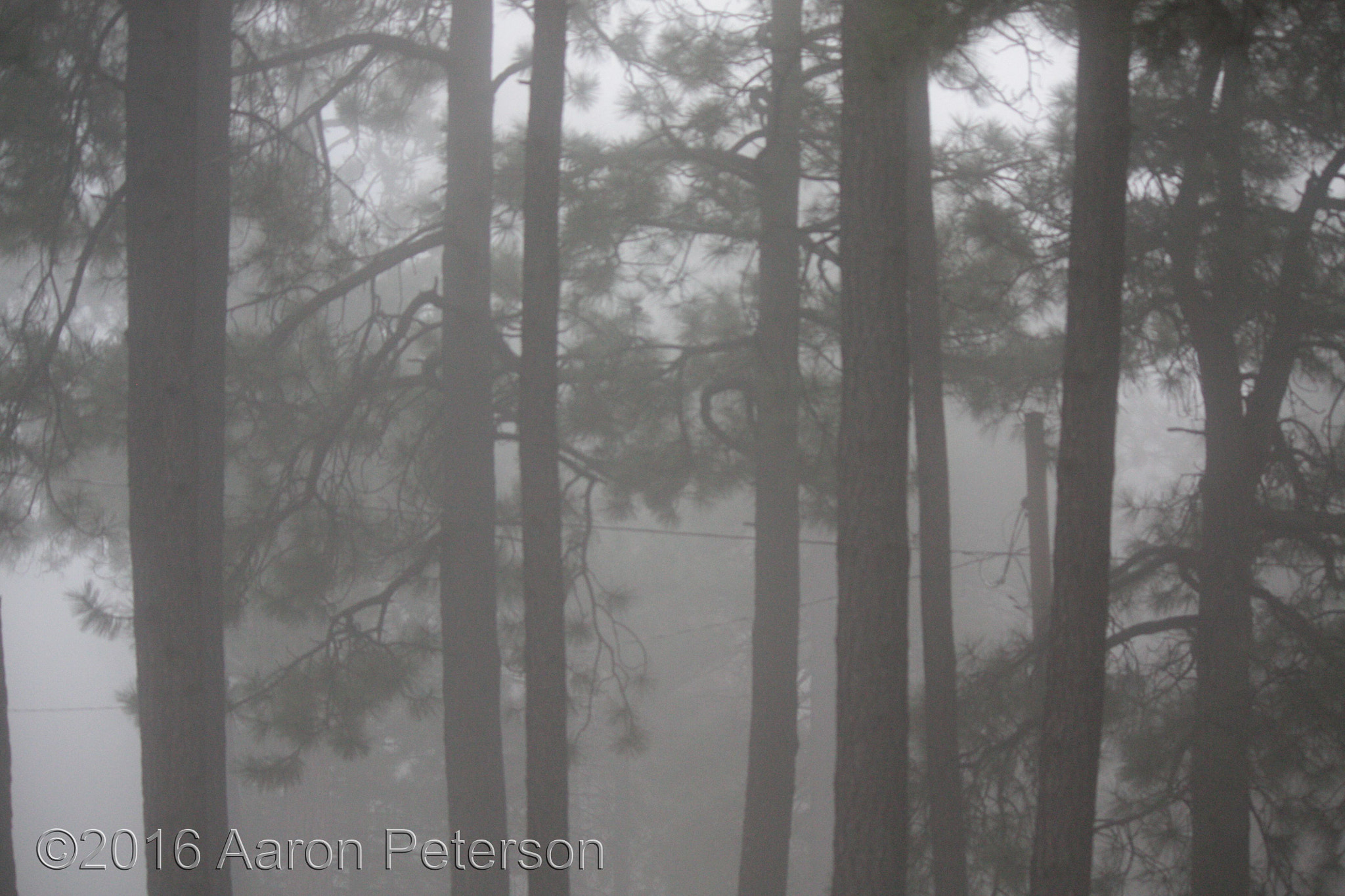 Canon EOS 450D (EOS Rebel XSi / EOS Kiss X2) sample photo. "far over the misty mountains cold..." photography