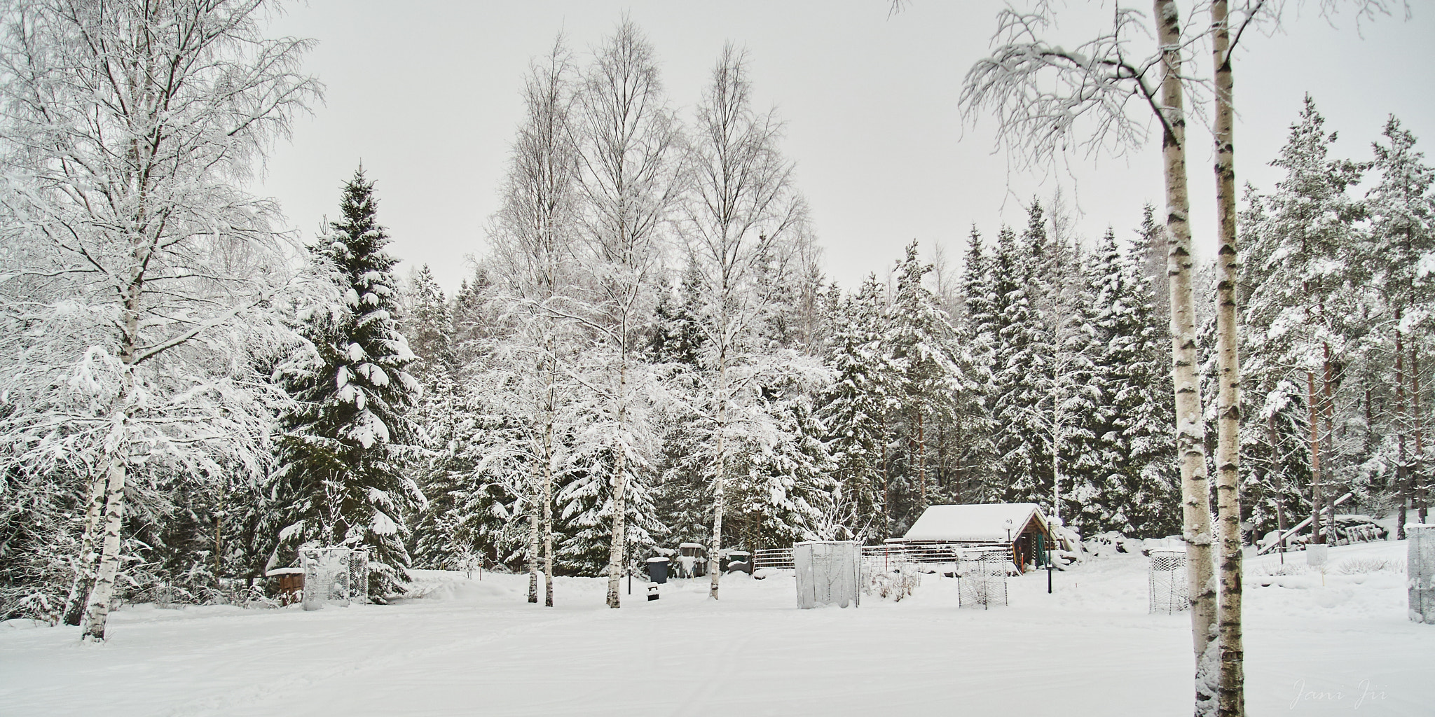 Canon EF 20-35mm f/2.8L sample photo. Snowy forest photography