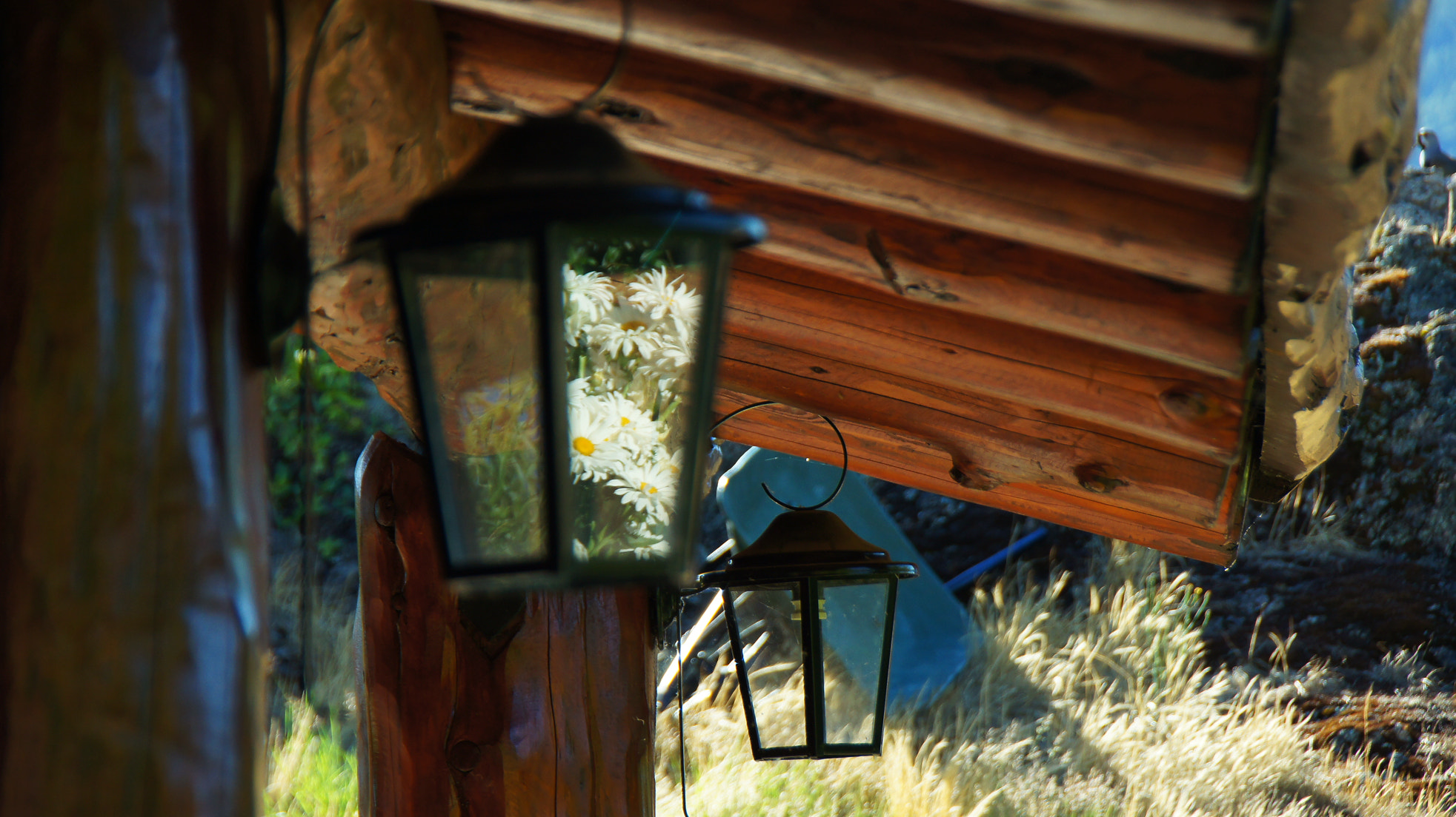 Sony Alpha DSLR-A580 sample photo. Reflection photography