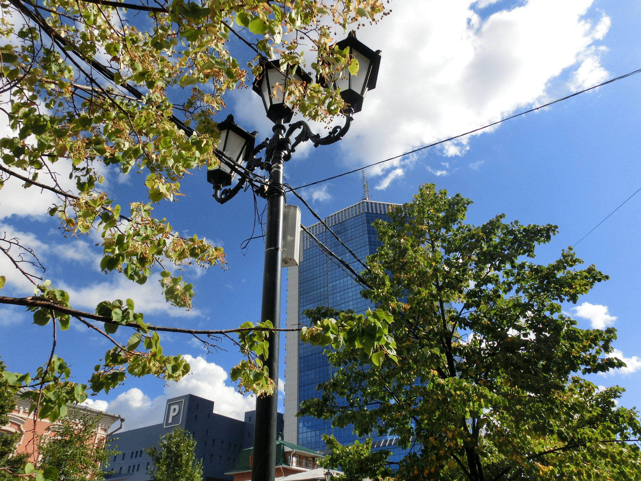 CASIO EX-ZR300 sample photo. Summer in the city photography