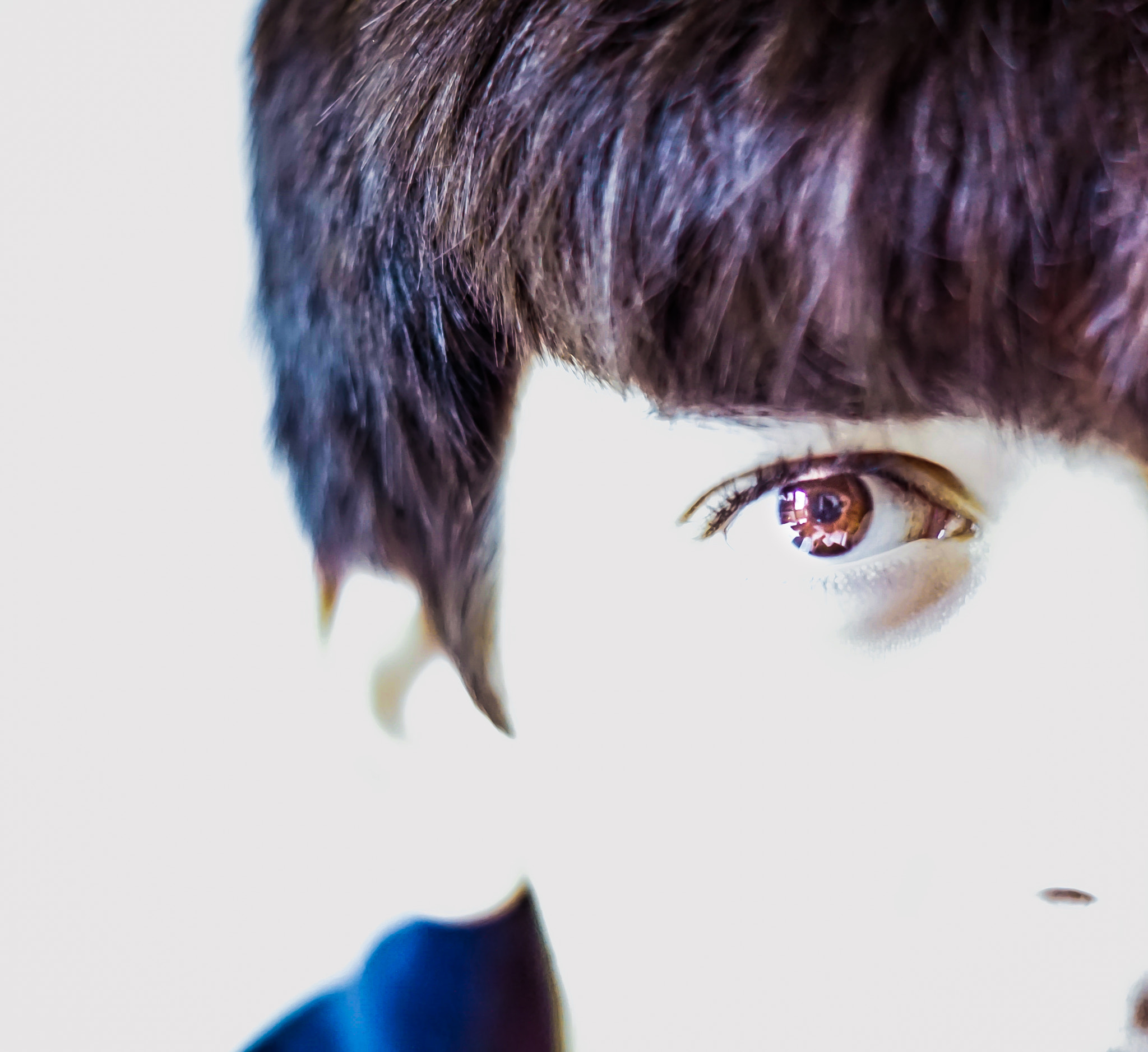 Sony ILCA-77M2 + Sony DT 50mm F1.8 SAM sample photo. Eye of a tiger photography