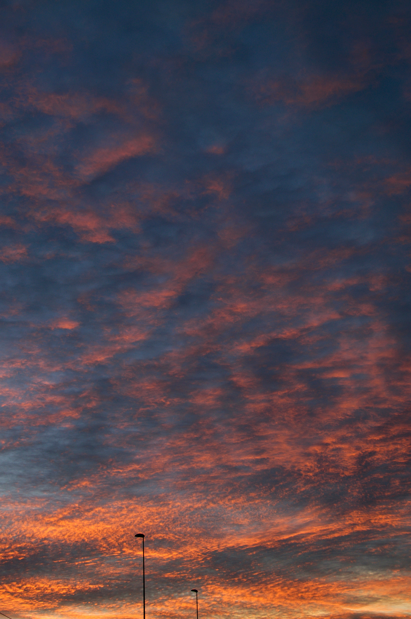 Tamron 18-270mm F3.5-6.3 Di II PZD sample photo. High play photography