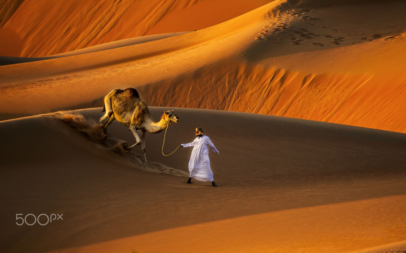 Sigma 150-600mm F5-6.3 DG OS HSM | C sample photo. Sand cruiser photography