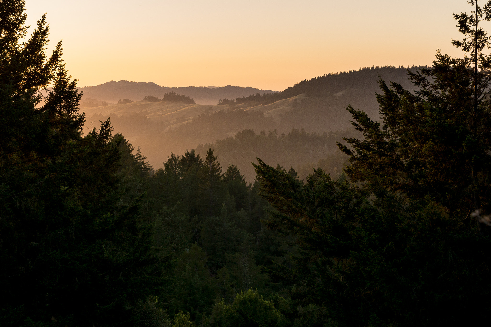 Sony SLT-A65 (SLT-A65V) + Tamron SP 24-70mm F2.8 Di VC USD sample photo. Dawn over sonoma photography