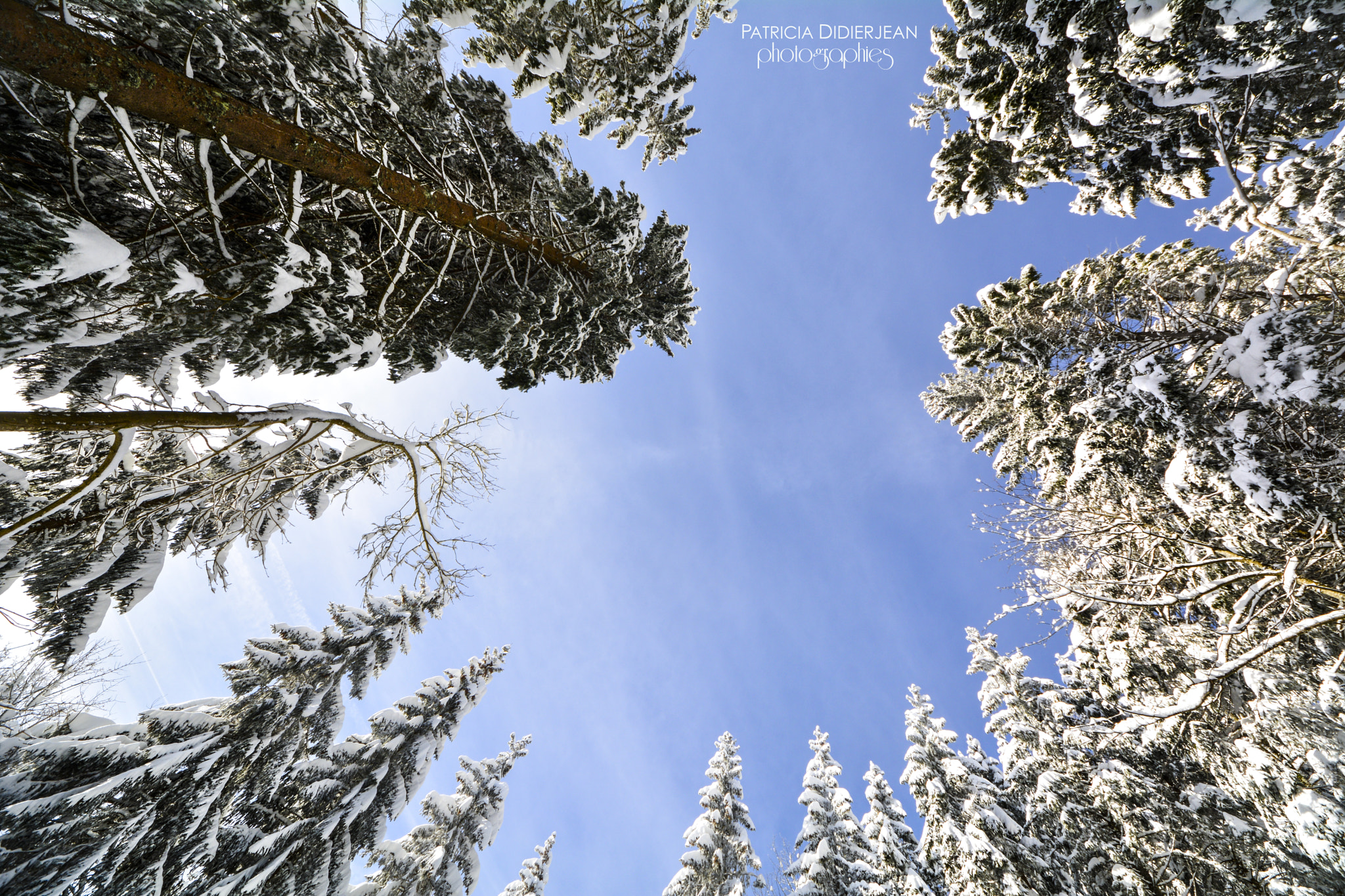 Sigma 8-16mm F4.5-5.6 DC HSM sample photo. Up in the sky photography