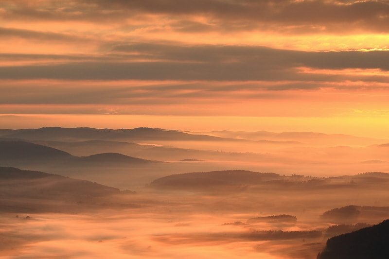 Canon EOS 7D + Canon EF 70-200mm F4L USM sample photo. Orange morning photography