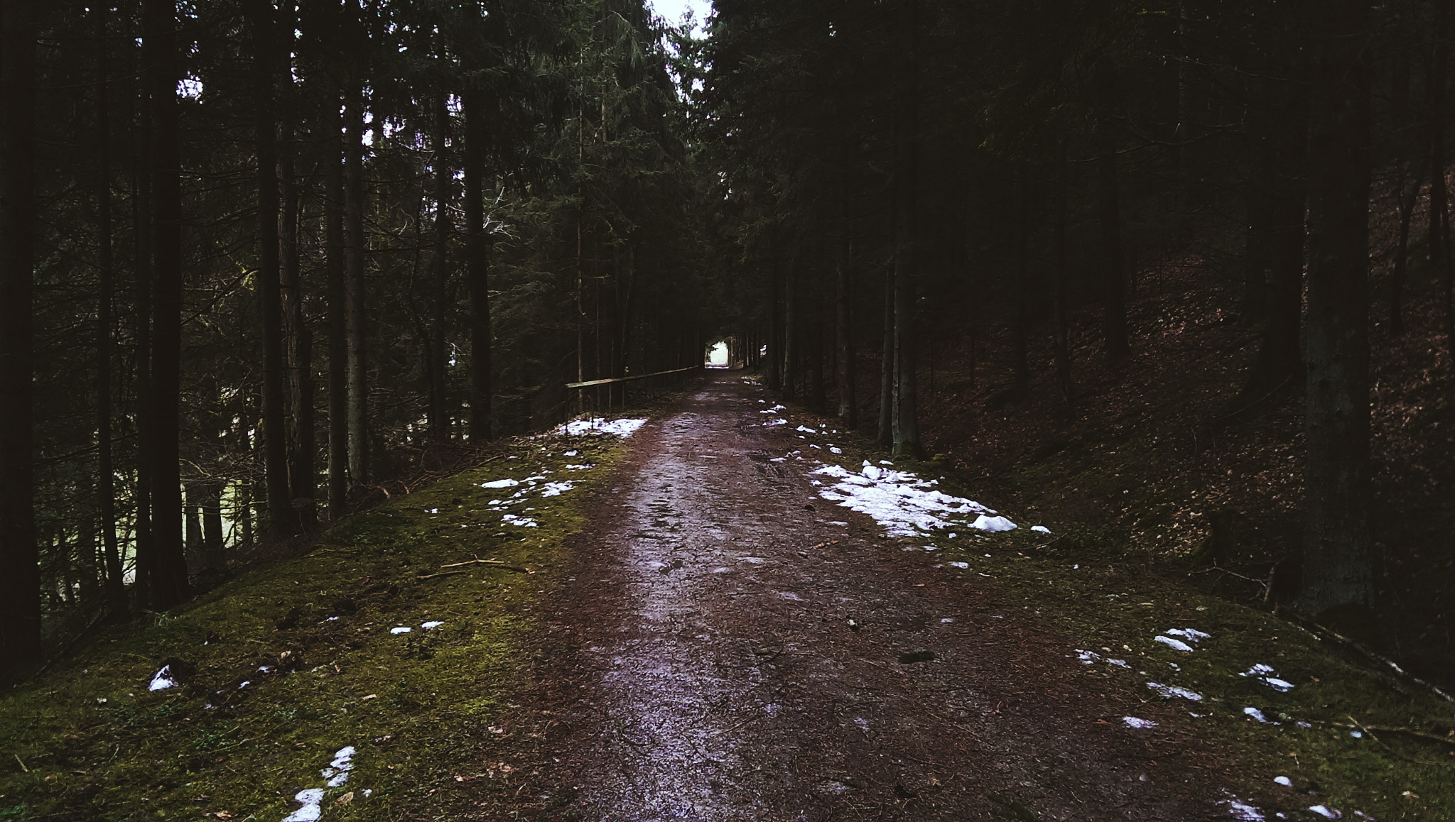 HTC ONE MINI sample photo. Processed with vscocam with m3 preset photography