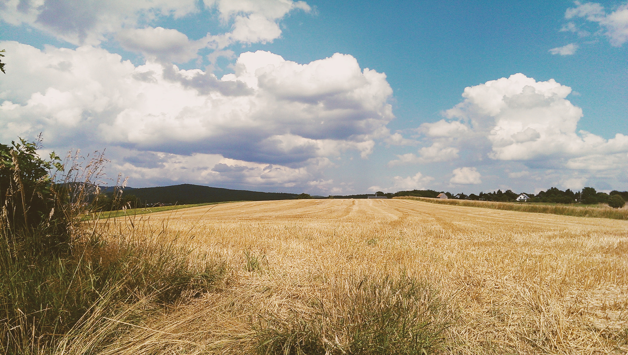 HTC ONE MINI sample photo. Processed with vscocam with m4 preset photography