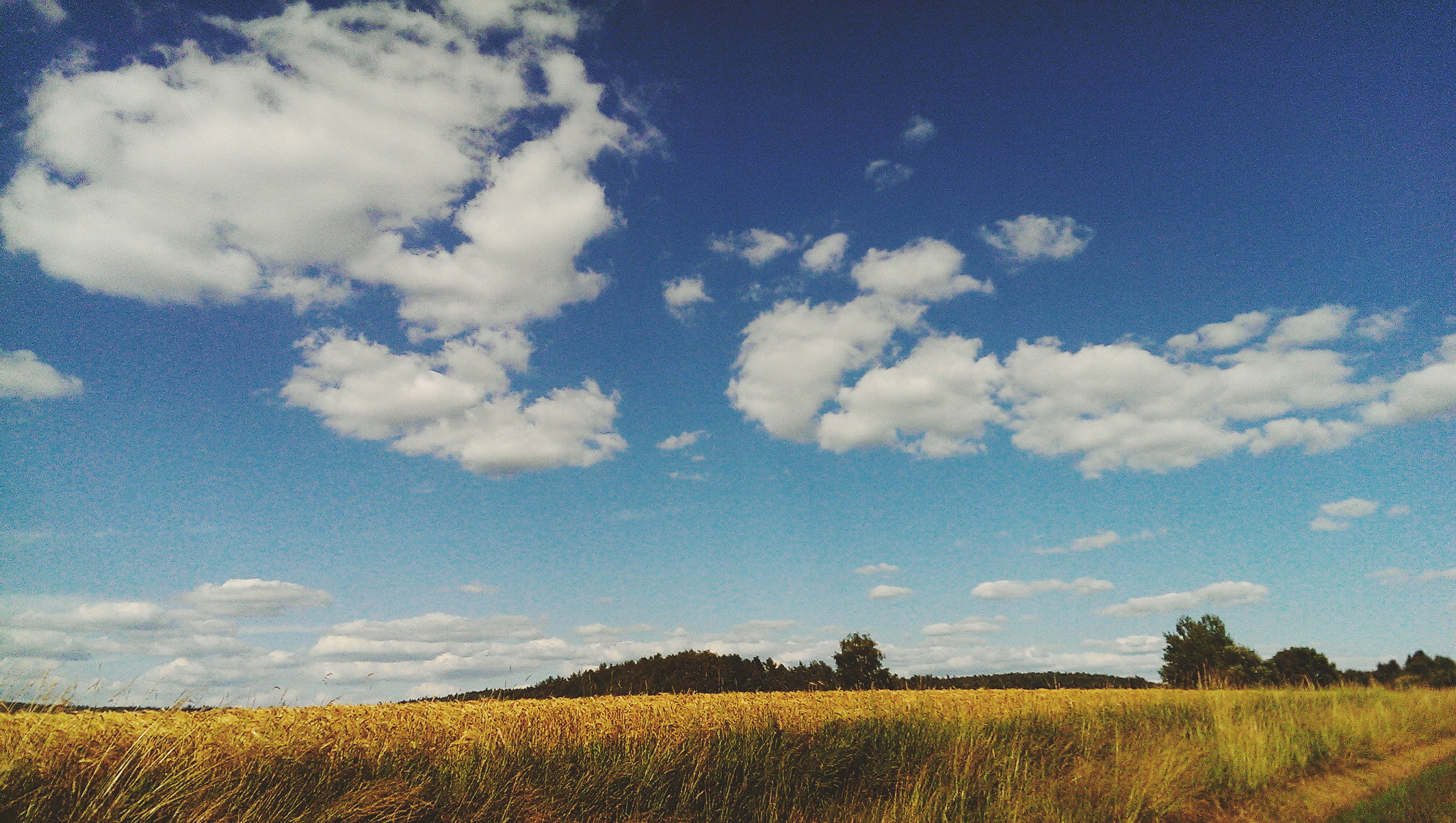 HTC ONE MINI sample photo. Processed with vscocam with f3 preset photography