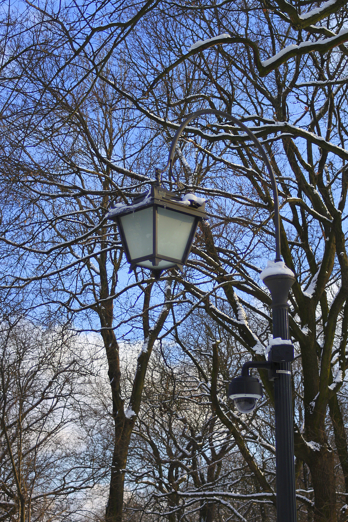 Canon EF 28-90mm f/4-5.6 sample photo. Park photography
