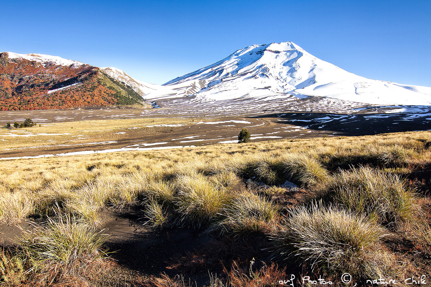 Tokina AT-X Pro 12-24mm F4 (IF) DX sample photo. Corralco, volcán lonquimay photography