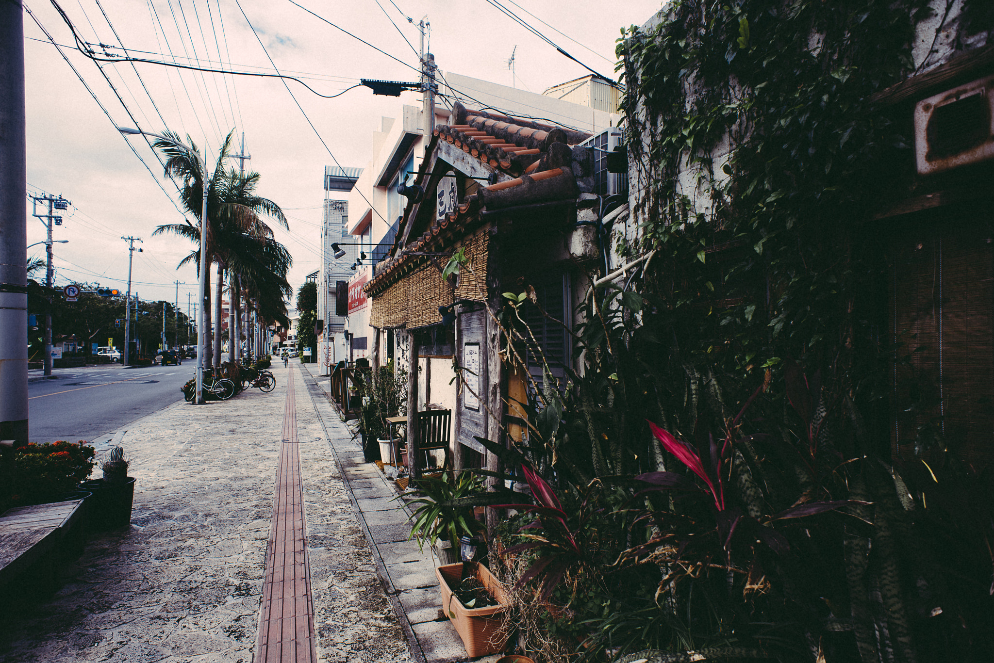 Nikon D600 + Nikon AF Nikkor 20mm F2.8D sample photo. Tropical avenue photography