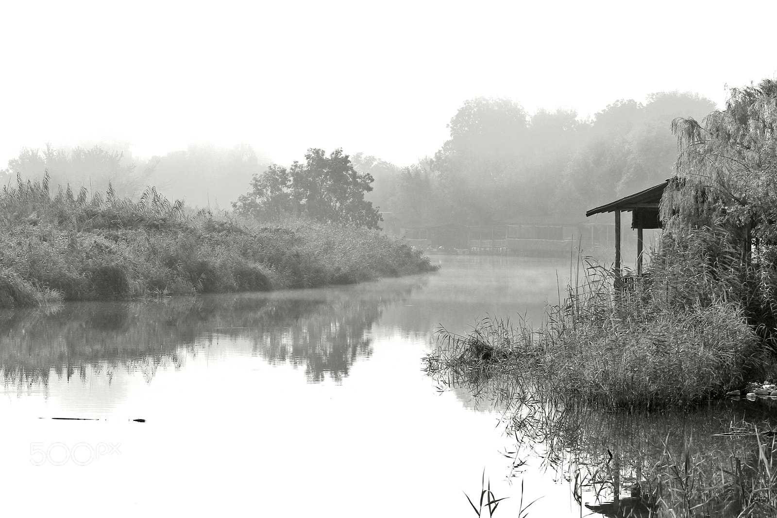 Tamron SP AF 70-200mm F2.8 Di LD (IF) MACRO sample photo. Misty river photography