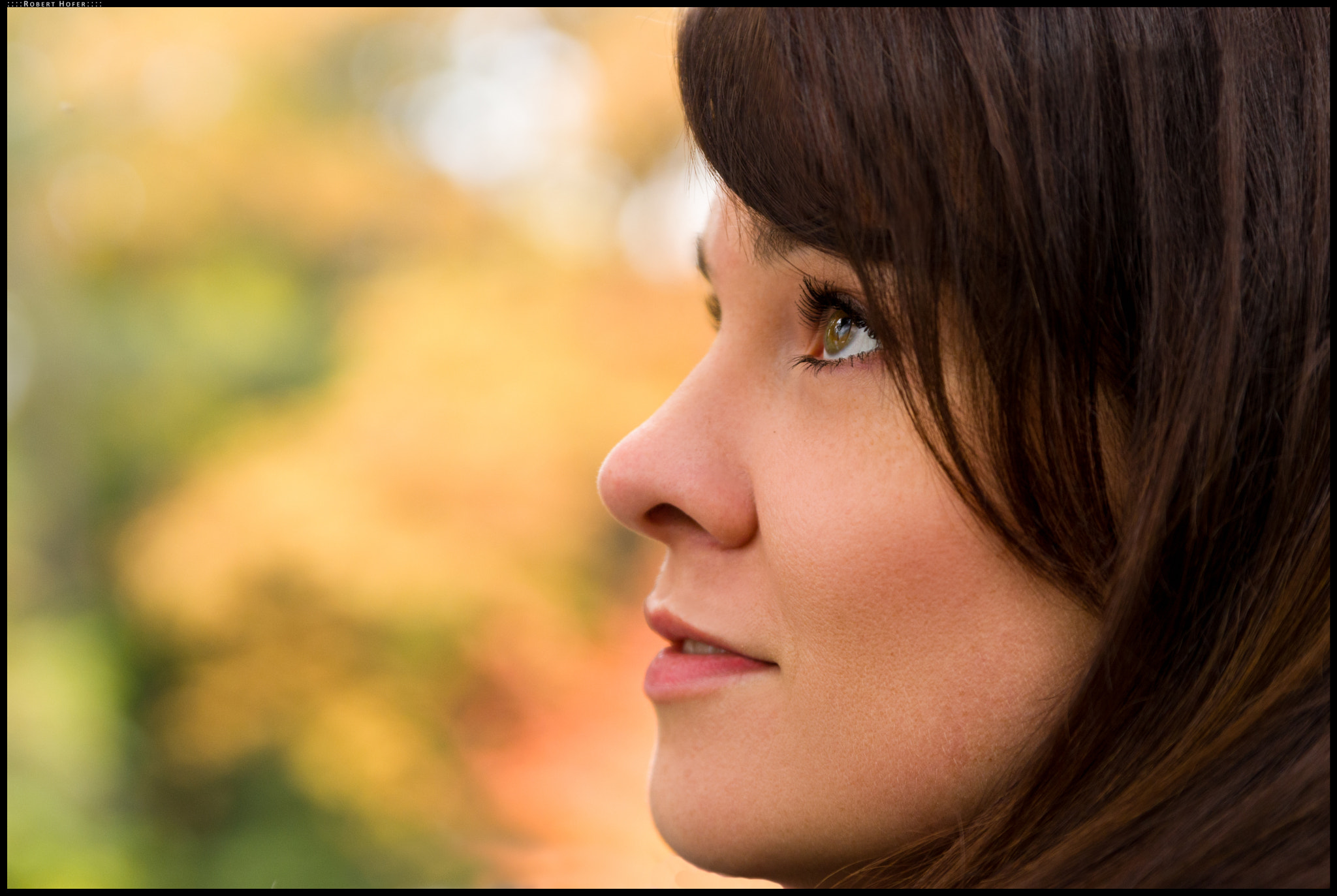Tamron SP 24-70mm F2.8 Di VC USD sample photo. Autumn photoshooting with a. photography