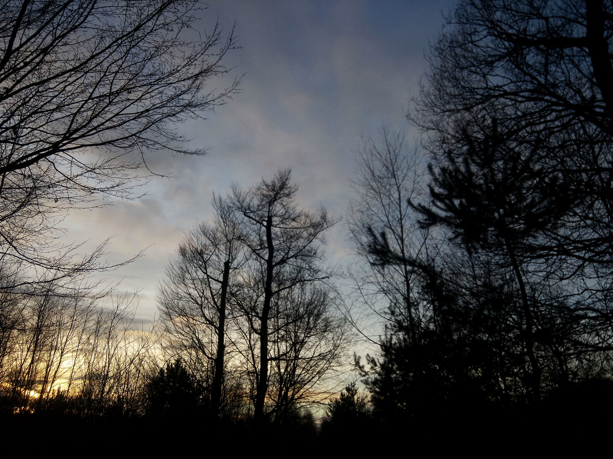 WIKO GETAWAY sample photo. Un jour d'hiver photography