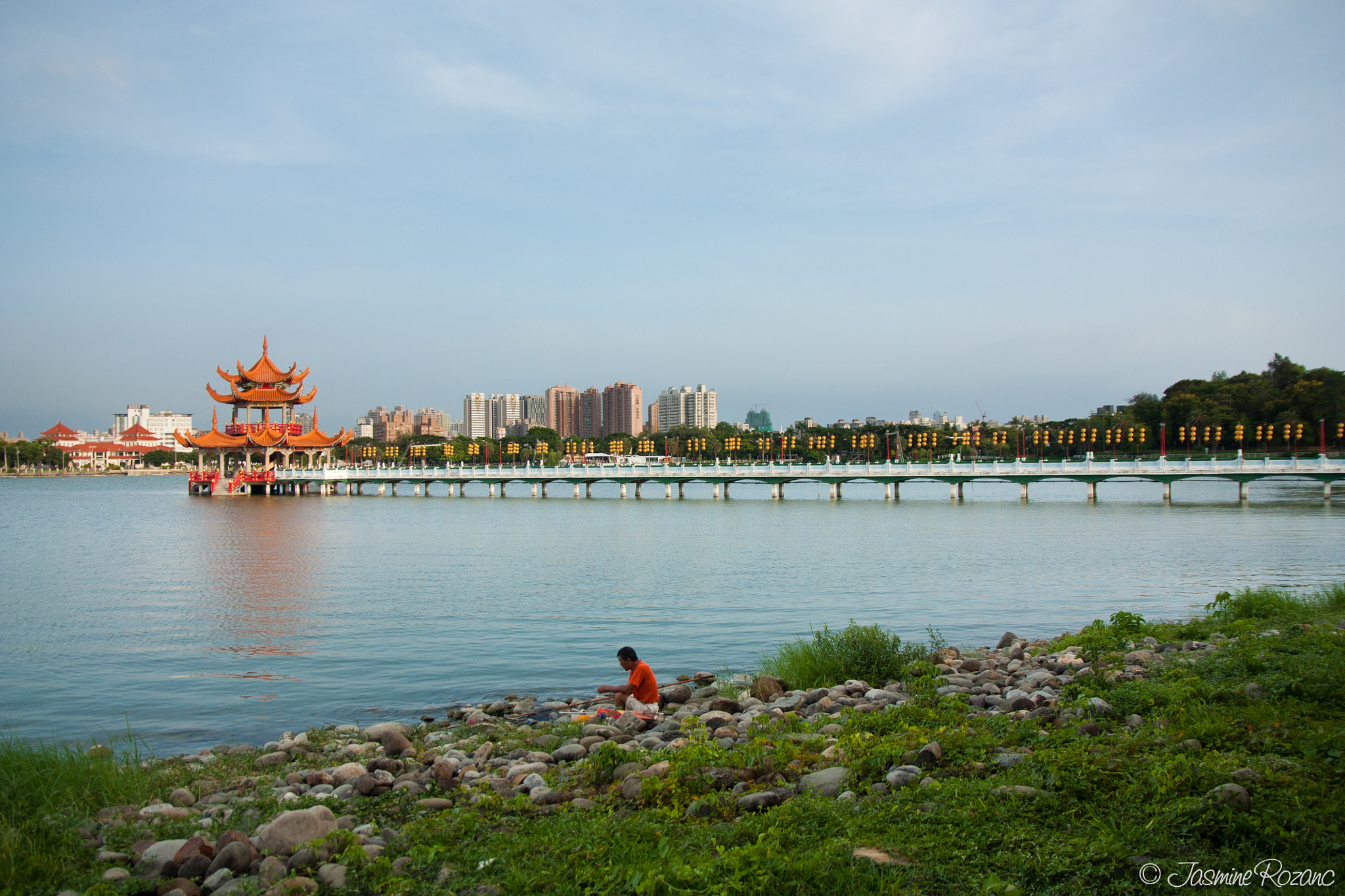 Sigma 17-70mm F2.8-4 DC Macro OS HSM sample photo. Lotus pond photography