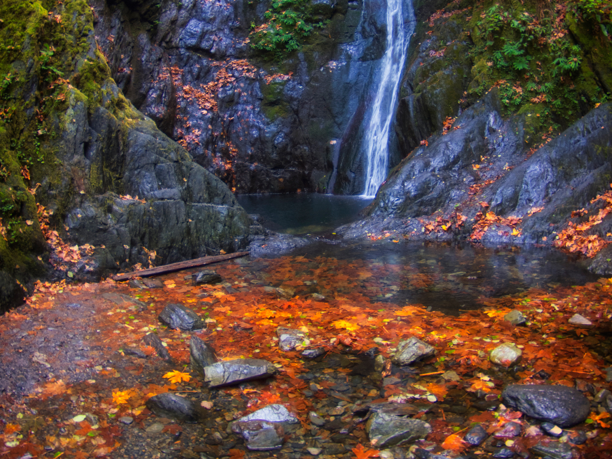 Pentax K-x sample photo. Golden falls photography