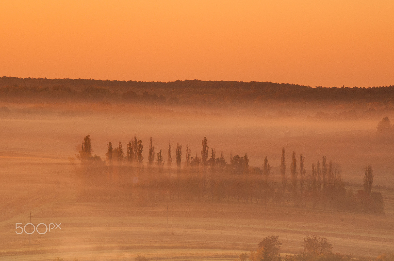 Sigma 70-200mm F2.8 EX DG OS HSM sample photo. Foggy autumn moring photography