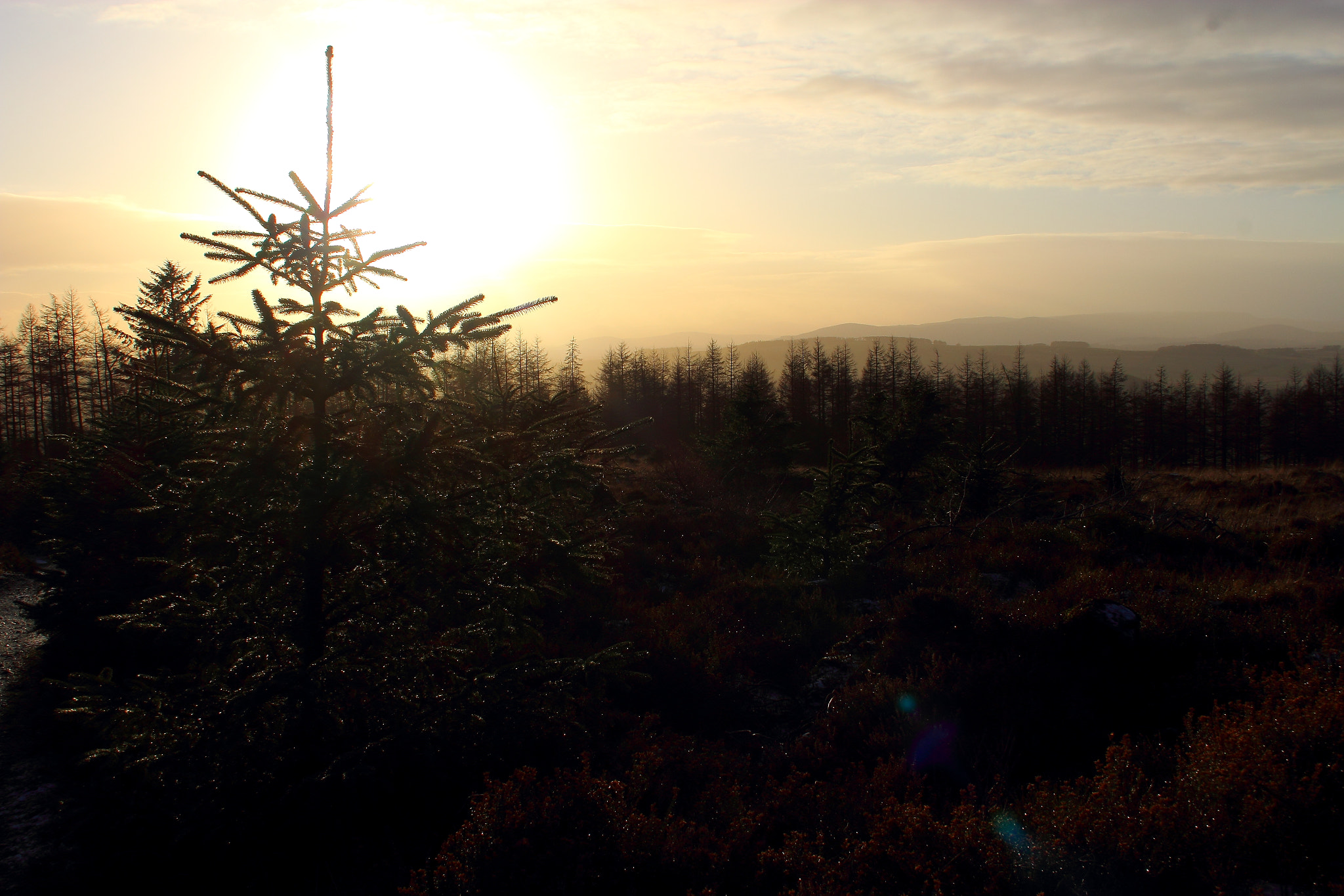 Canon EF-S 18-55mm F3.5-5.6 sample photo. Sunset.jpg photography