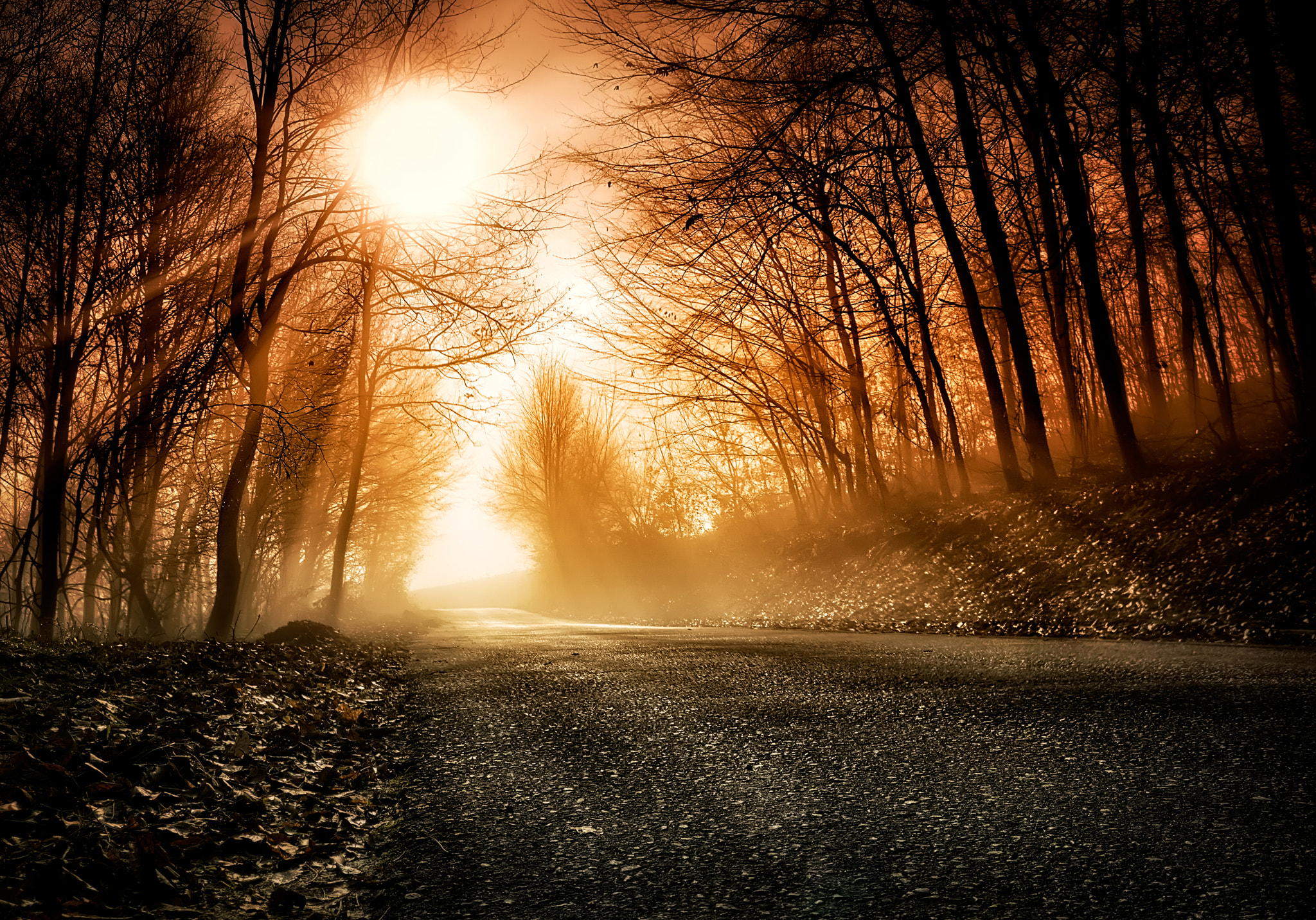 LUMIX G VARIO PZ 14-42/F3.5-5.6 sample photo. Foggy road photography
