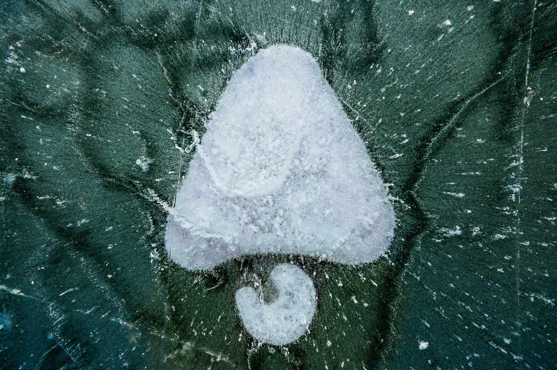 Sigma AF 10-20mm F4-5.6 EX DC sample photo. Ice biology photography