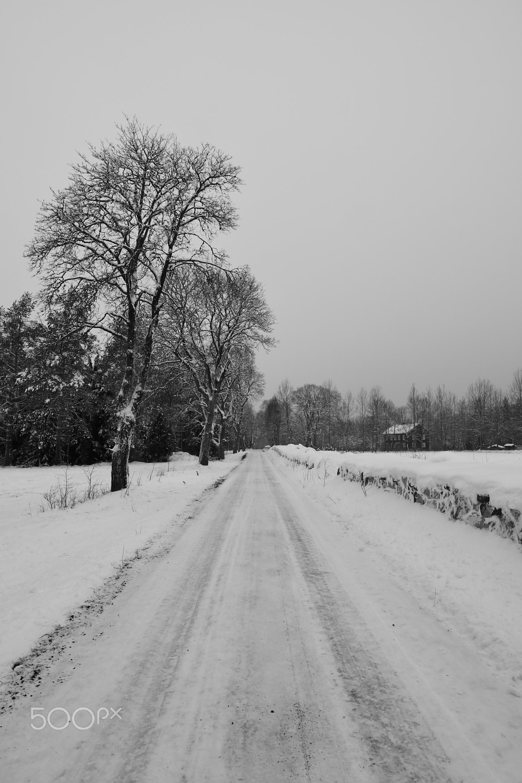 Samyang 14mm F2.8 ED AS IF UMC sample photo. Swedish winter tristesse photography