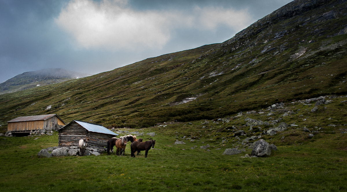 Nikon D3 + Sigma 50mm F1.4 EX DG HSM sample photo. Norway photography