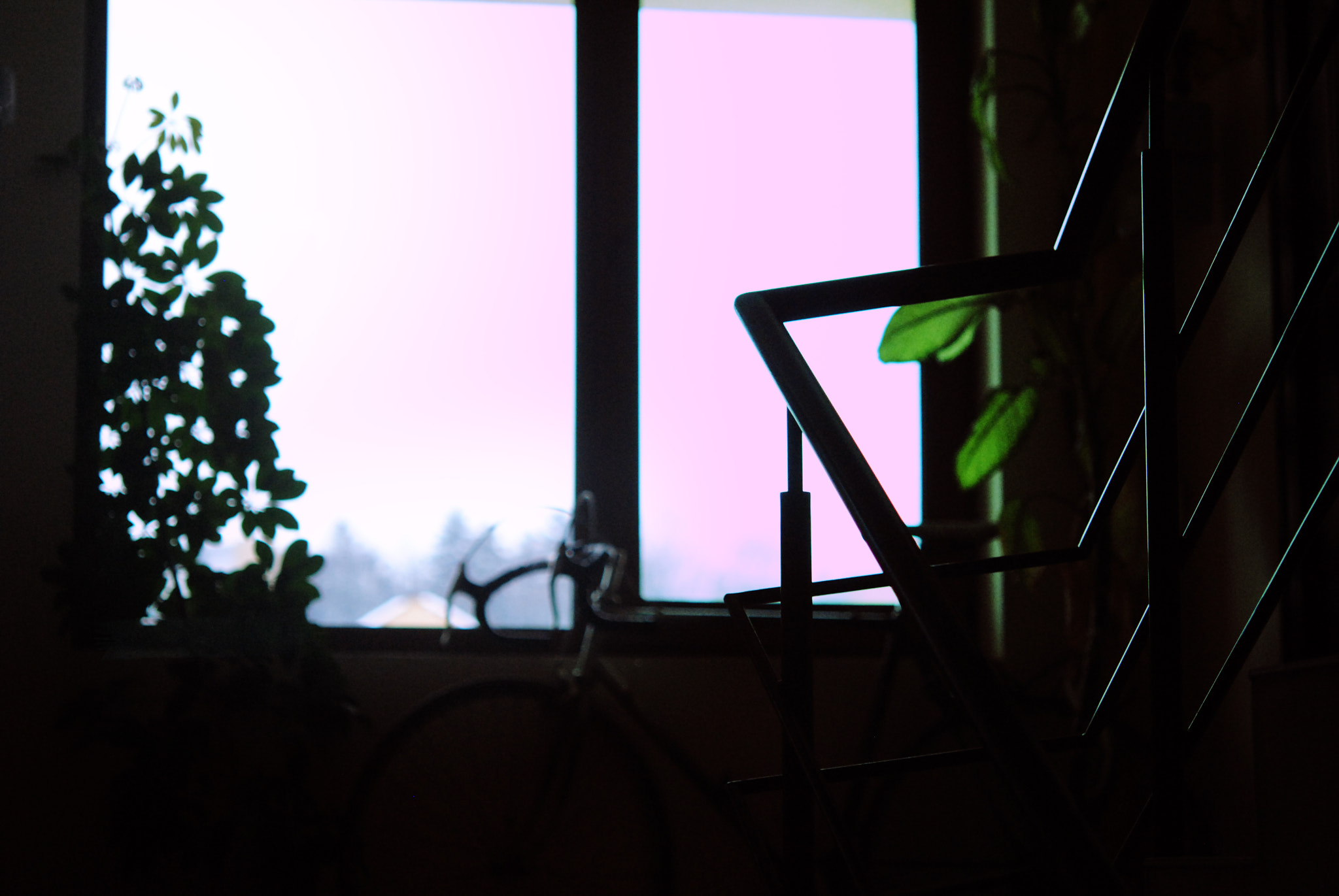 Nikon AF-S Micro-Nikkor 60mm F2.8G ED sample photo. Ilovemybike photography