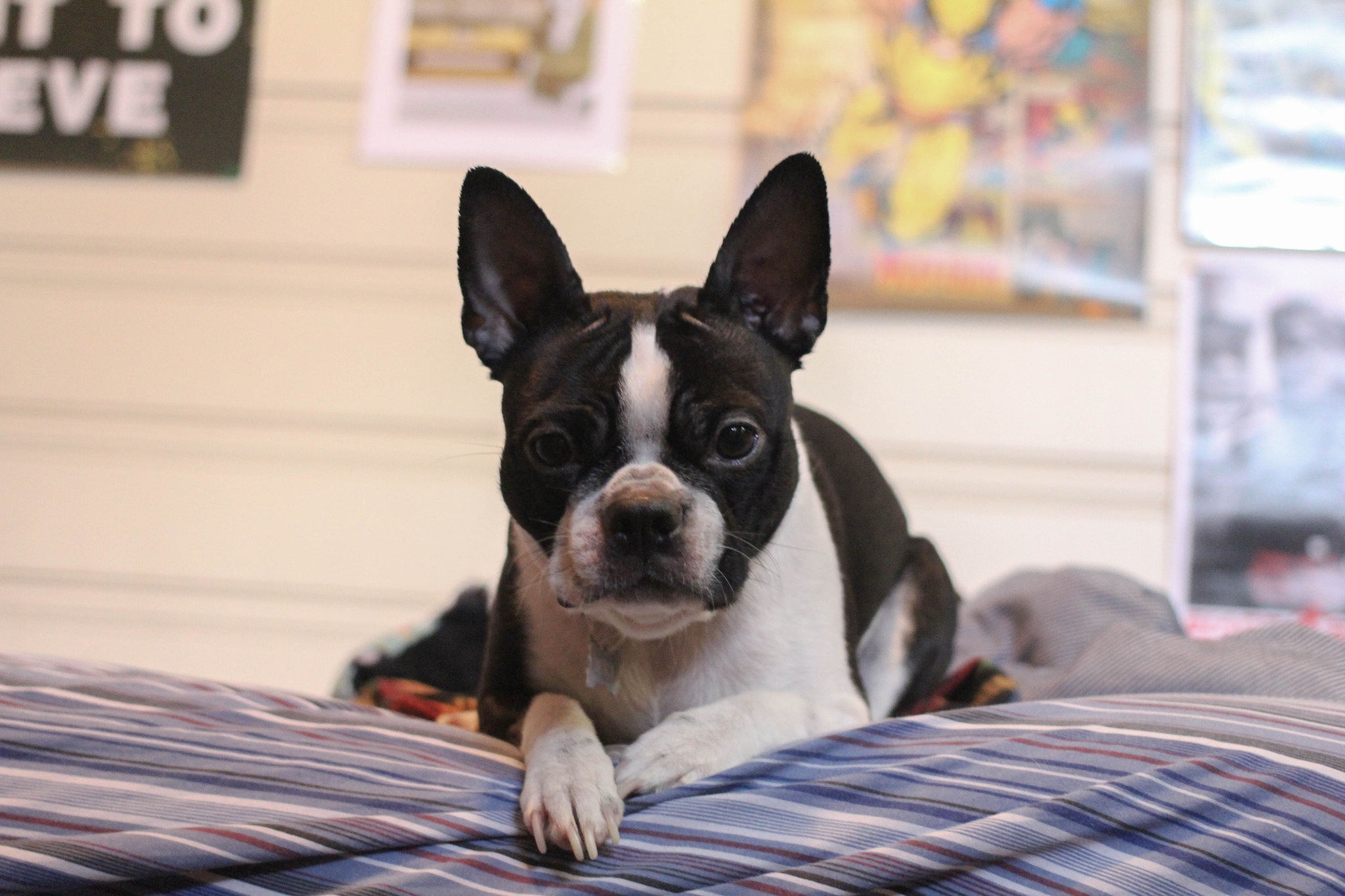 Canon EF 40mm F2.8 STM sample photo. Nora 4 photography