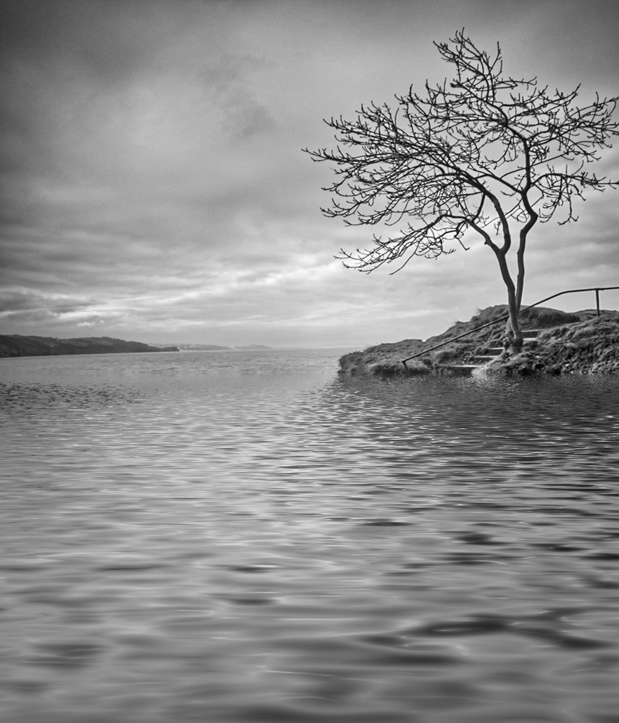 Nikon D700 + Sigma 10-20mm F3.5 EX DC HSM sample photo. Babbacombe steps photography