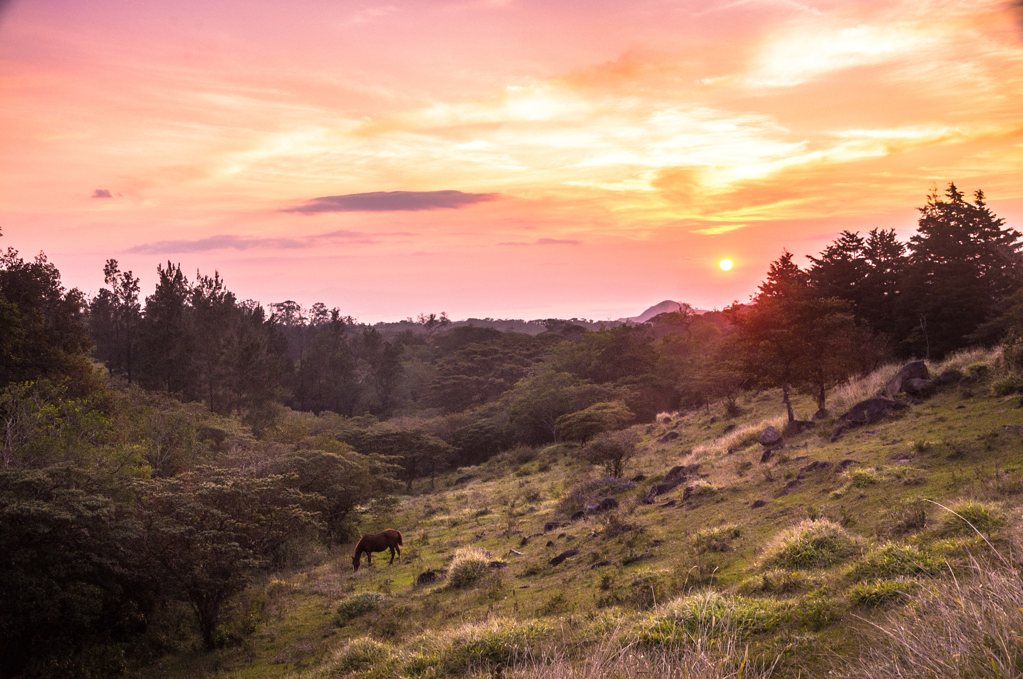 Pentax K-r sample photo. Atardecer en monteverde photography