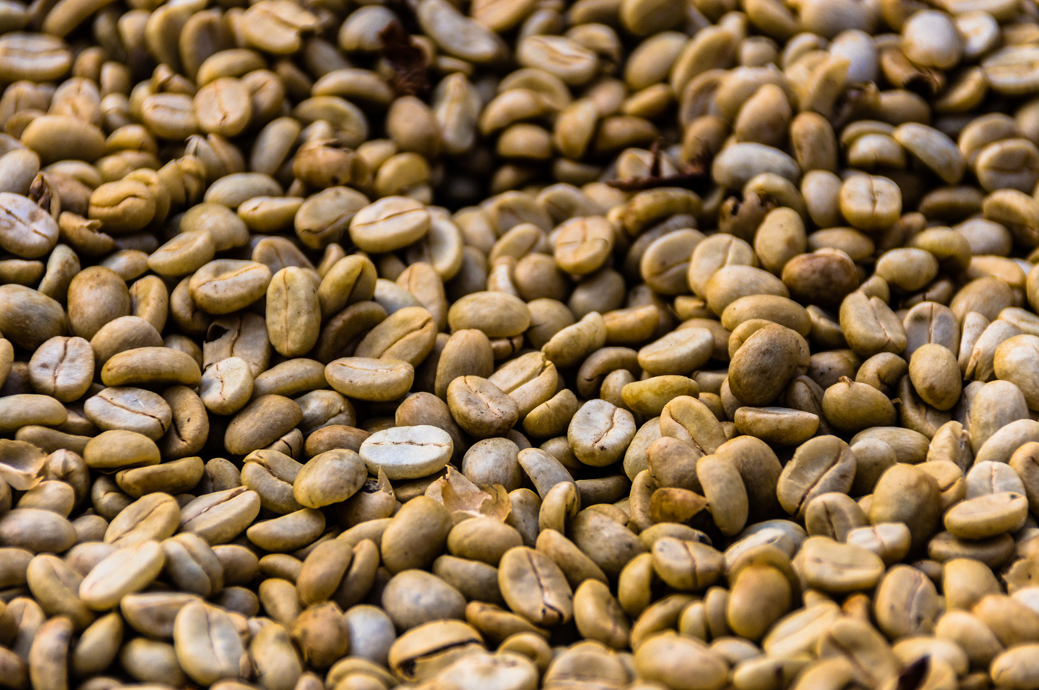 Pentax K-r sample photo. Granos de café photography