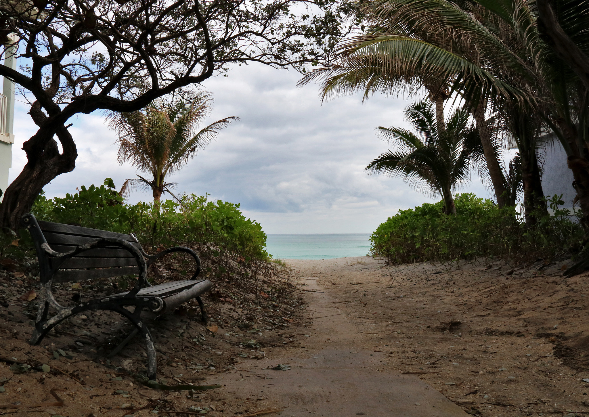 Canon EOS 760D (EOS Rebel T6s / EOS 8000D) sample photo. Horizonte photography
