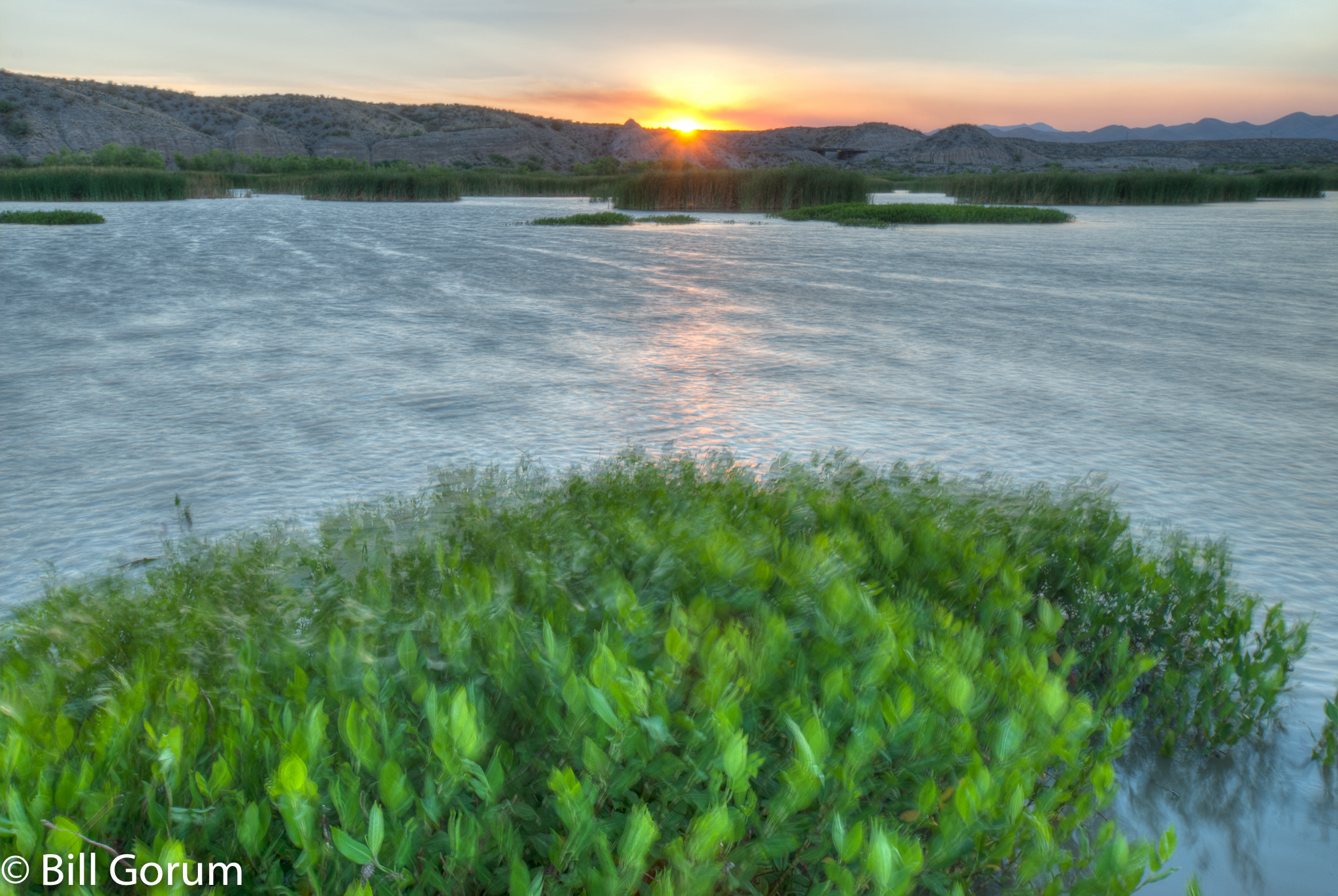 Nikon D200 sample photo. Windy evening on the marsh, bosque del apache nwr. photography