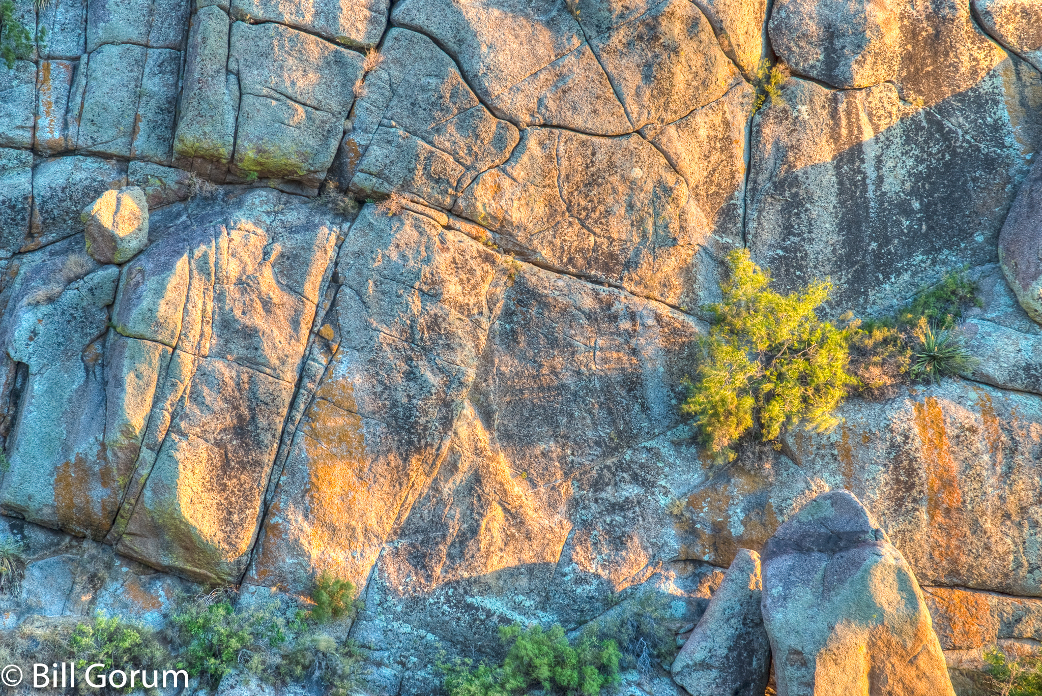 Nikon D200 sample photo. Vegetation growing from sheer granite rock face. photography