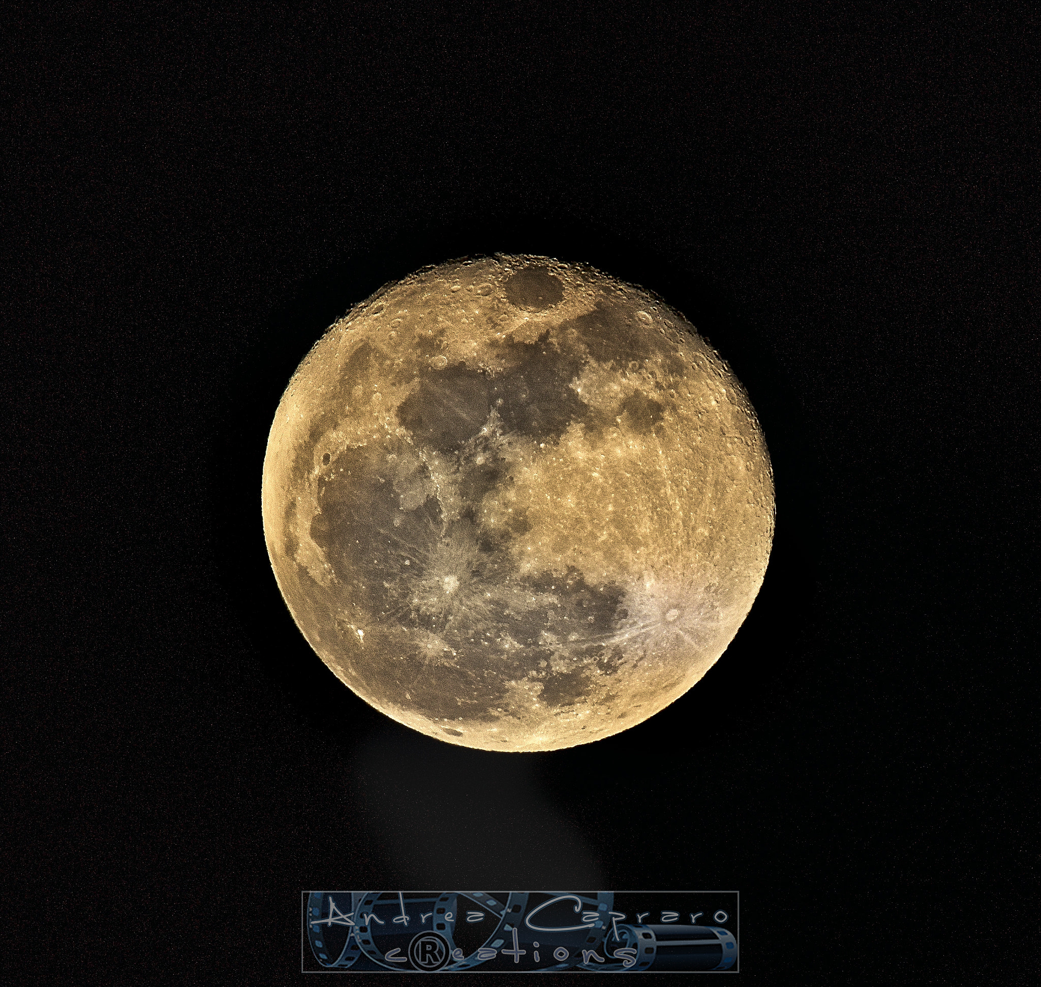 Sigma 150-600mm F5-6.3 DG OS HSM | C sample photo. Poet's muse. photography