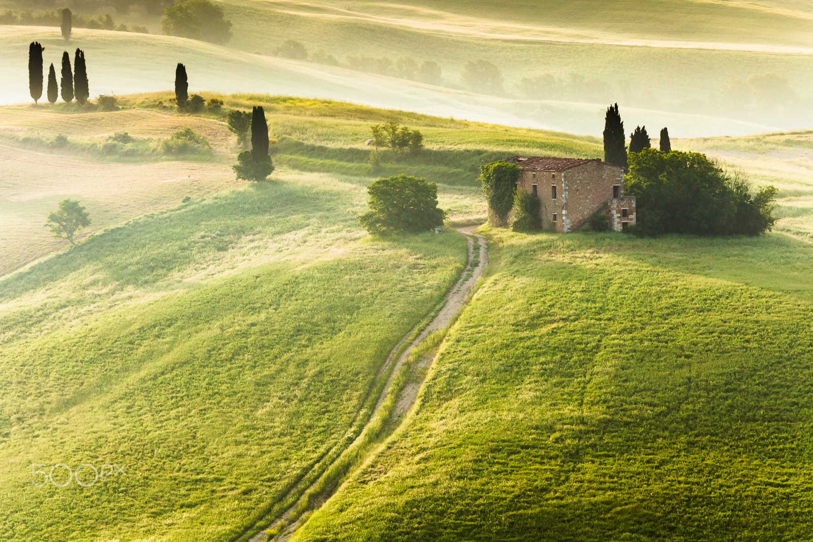 Canon EOS 5D Mark II + Canon EF 70-200mm F4L USM sample photo. Early morning in countryside of tuscany photography