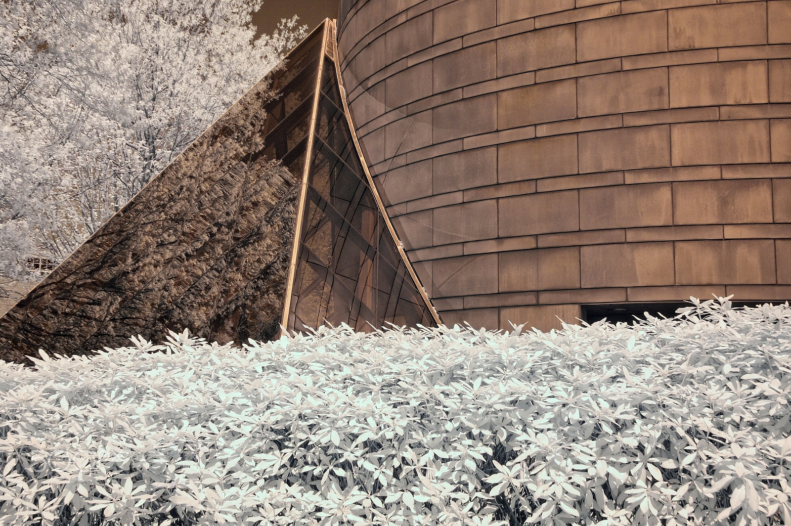 Nikon D70s sample photo. Chapel i, ir photography