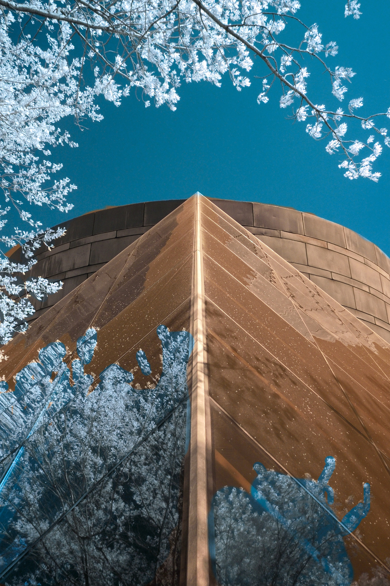 Nikon D70s sample photo. Chapel ii, ir photography