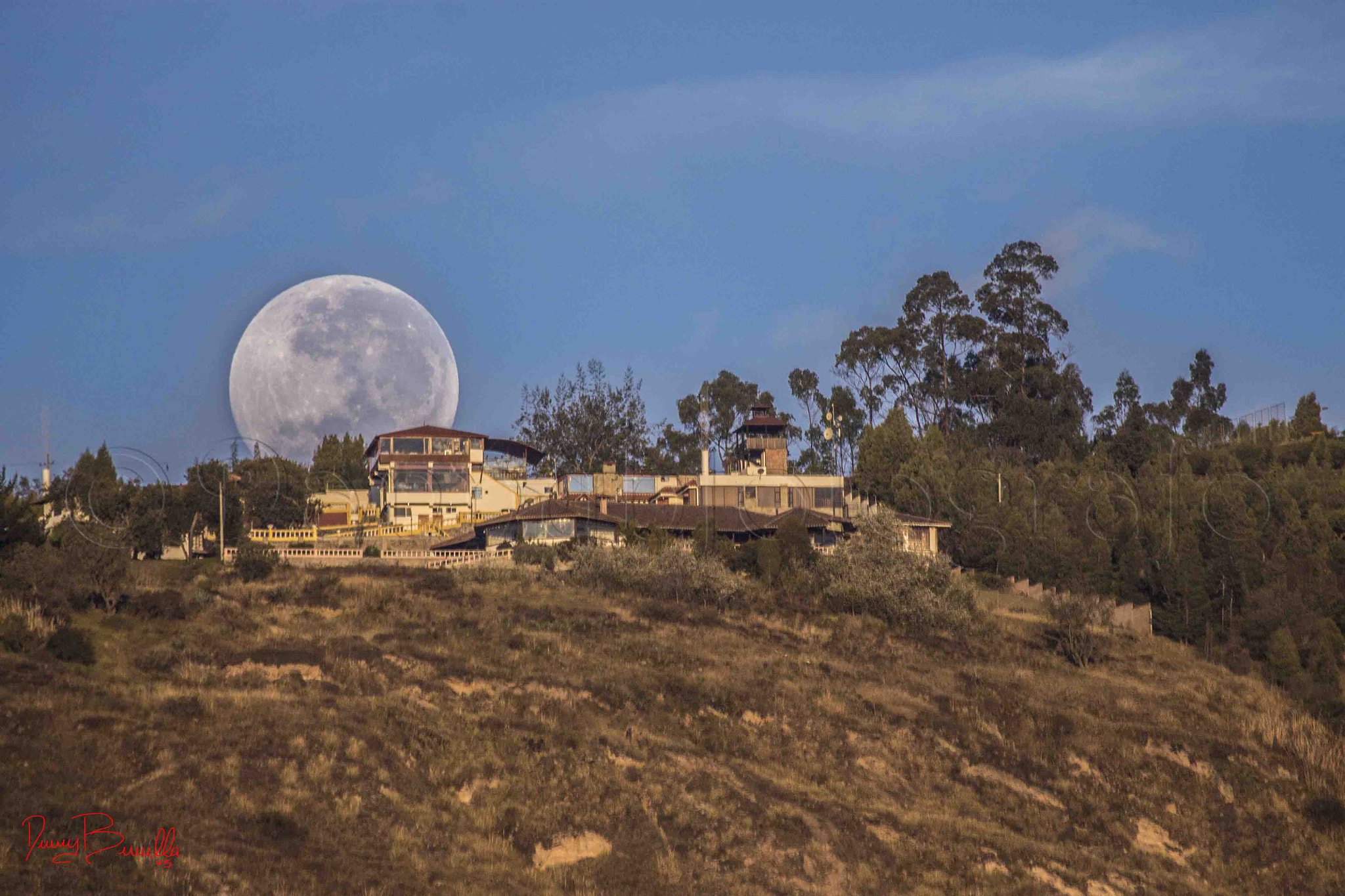 Canon EF 100-400mm F4.5-5.6L IS USM sample photo. Luna se esconde detras de palama photography