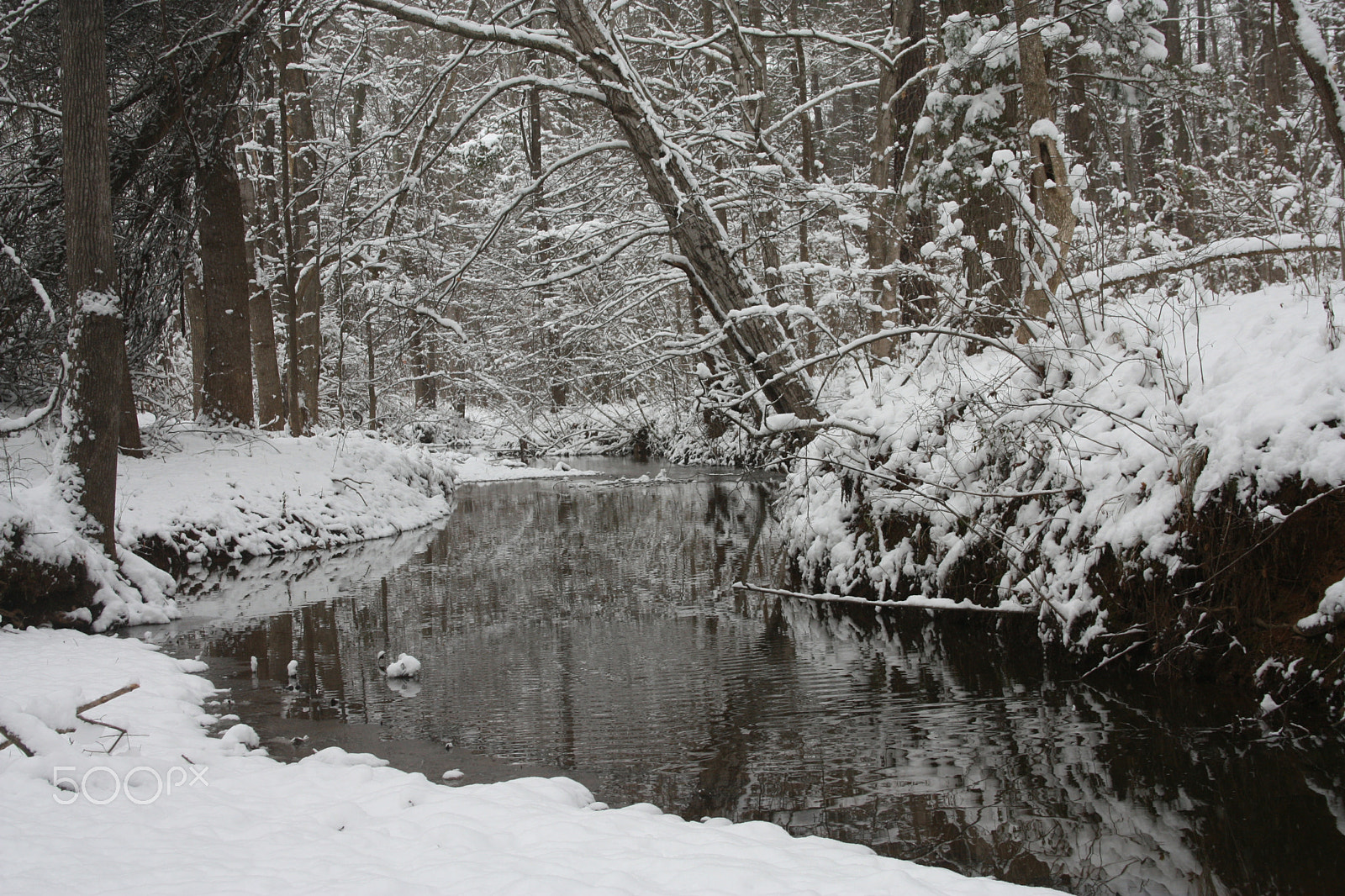 Canon EF-S 18-55mm F3.5-5.6 sample photo. Winter stream photography