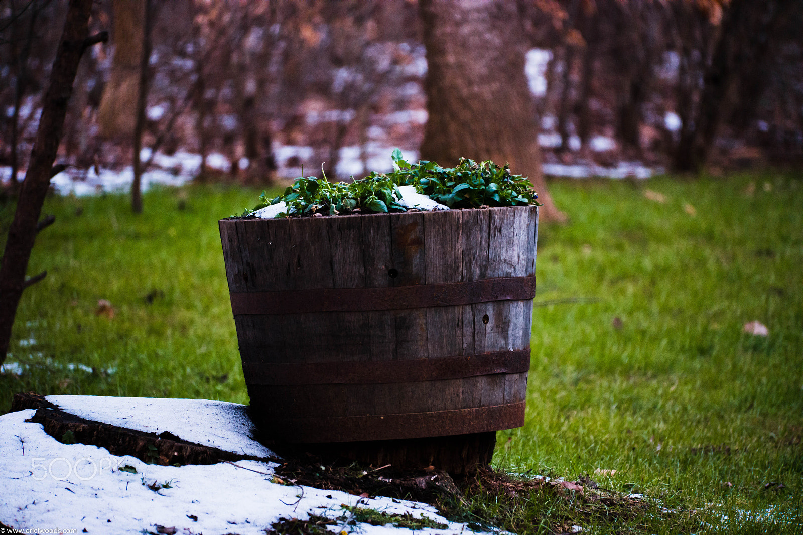 Samsung NX1 + NX 50-150mm F2.8 S sample photo. Winter photography