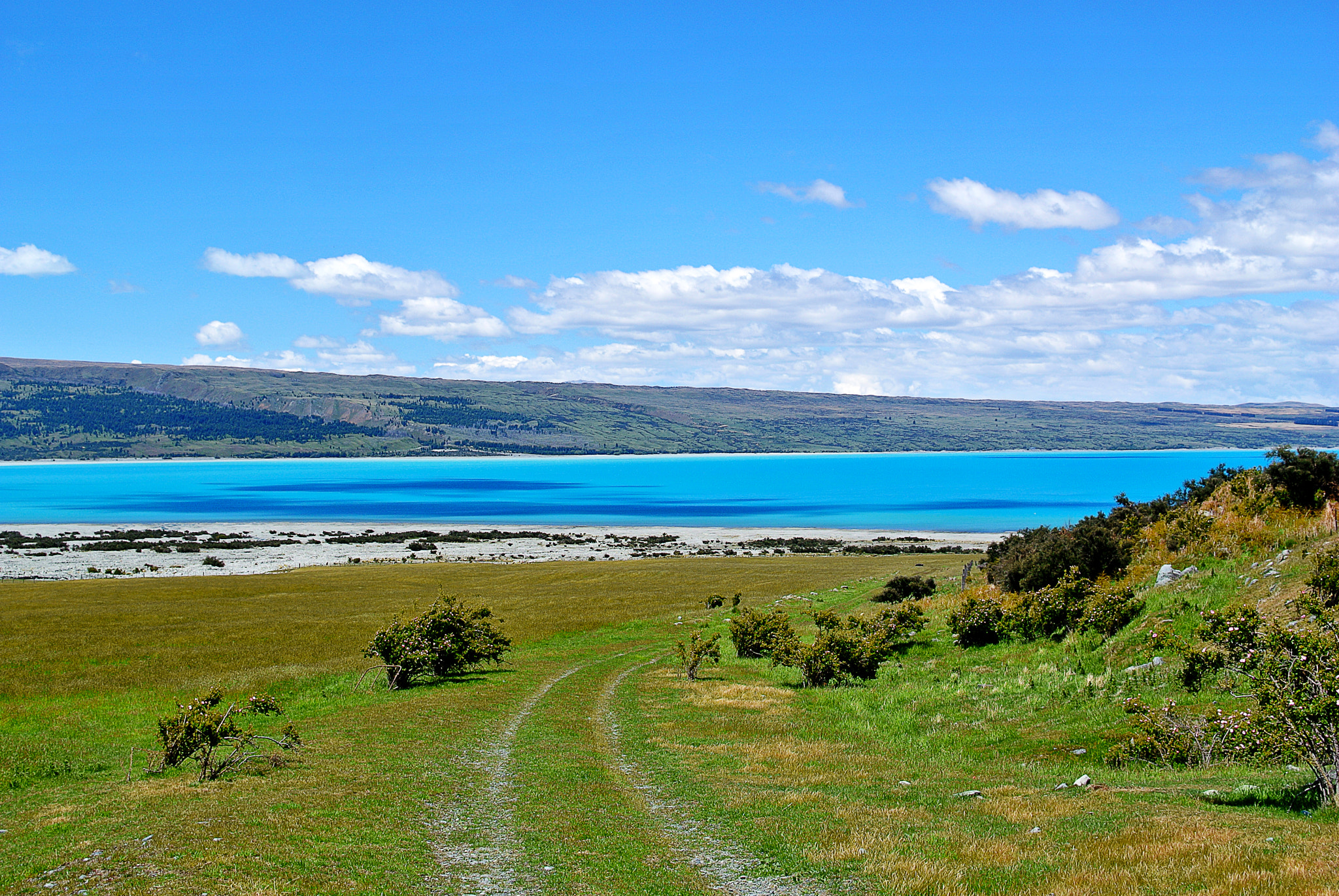 Nikon 1 V1 + Nikon 1 Nikkor 18.5mm F1.8 sample photo. Pukaki lake - new zealand photography