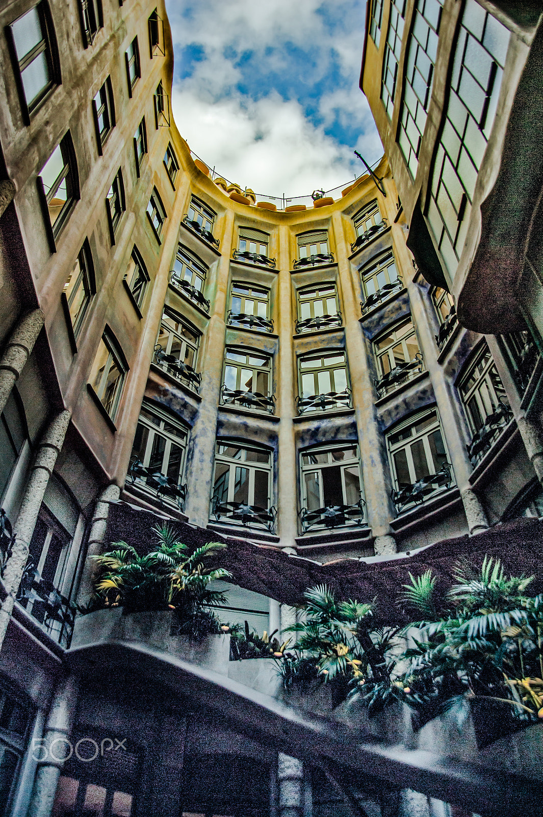 Nikon D3S sample photo. Looking up photography
