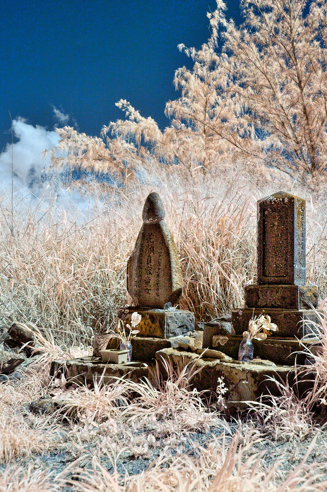 Nikon D70s sample photo. Old chinese cemetery, port allen, kaua'i, ir photography