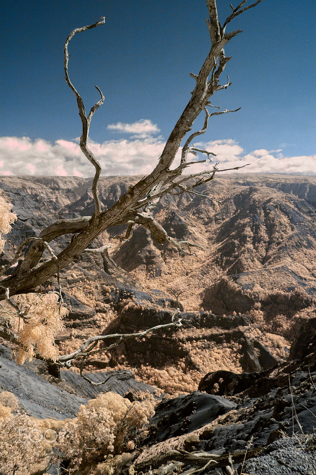 Nikon D70s sample photo. Waimea canyon ir photography