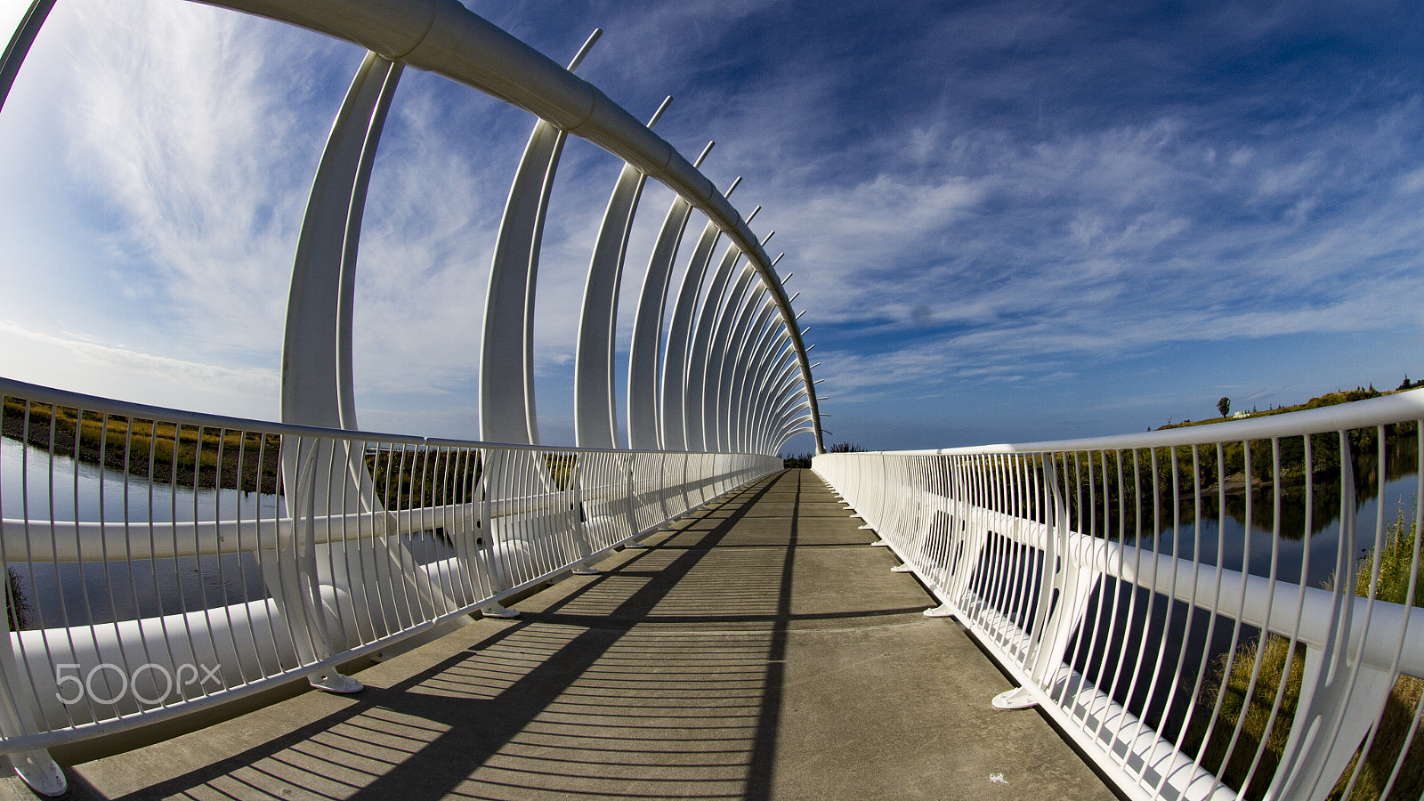 Canon EF 8-15mm F4L Fisheye USM sample photo. Wave bridge photography
