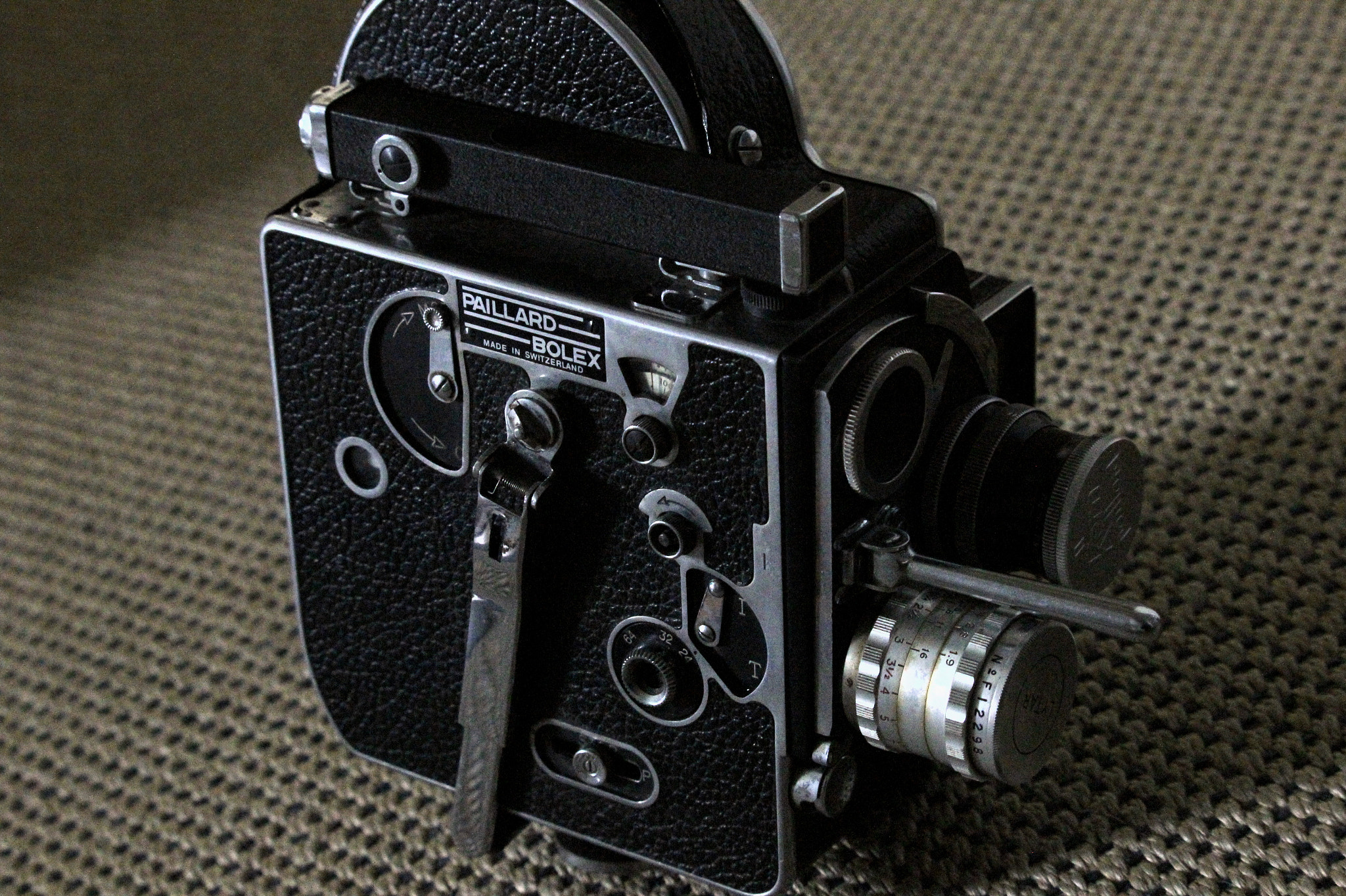 Canon EF-S 55-250mm F4-5.6 IS STM sample photo. Ready for your close up? photography