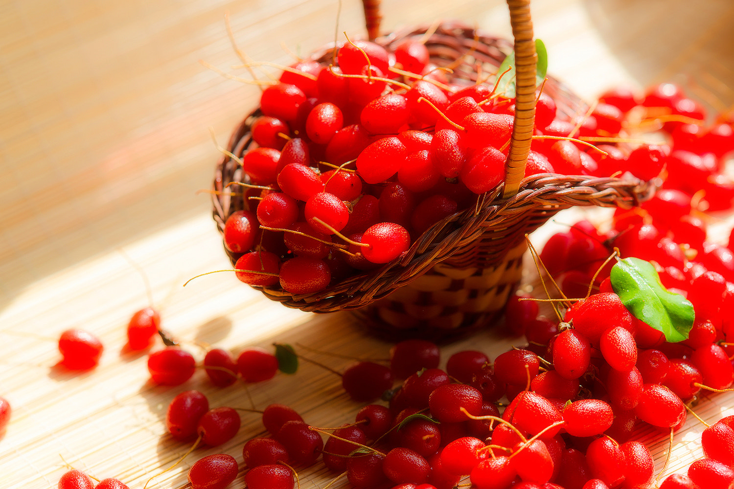 Sony Sonnar T* 135mm F1.8 ZA sample photo. Barberry. photography
