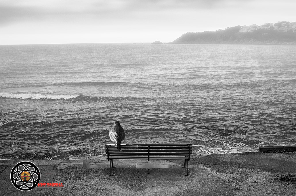 AF Zoom-Nikkor 24-50mm f/3.3-4.5D sample photo. Un toque de clase photography